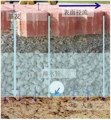 龙光地产：践行ESG环境责任 助力海绵城市建设-中国网地产