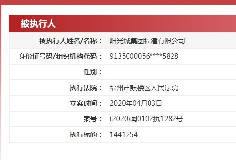 阳光城集团福建公司被列入被执行人名单-中国网地产