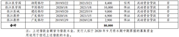 上海张江拟发行8亿元中期票据 用于偿还银行借款-中国网地产