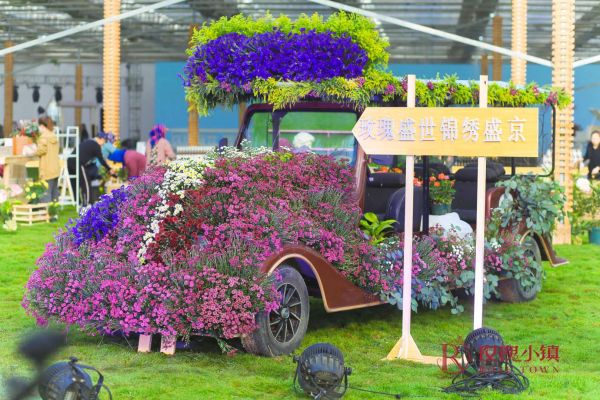 “玫”好生活，花开皇城 | 沈阳市玫瑰小镇首届玫瑰节绚丽绽放 ！-中国网地产