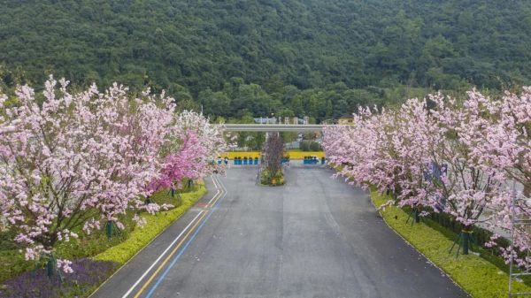 贵阳青秀2046一套全能青寓LOFT，玩“赚”百变人生-中国网地产