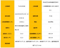 郴州市高质建筑工程公司以底价竟得人民东路延伸段地块