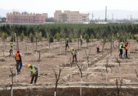 防疫植树两不误!截至3月底,甘肃省今年已完成造林89.48万