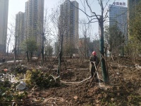 望兵石游园下月竣工投入使用