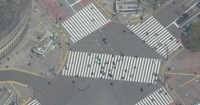 黄金周临近日本政府呼吁别回老家,每位国民将获10万日元补贴