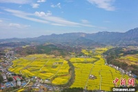 限流、AR测温……为了五一假期,各地景区拼了