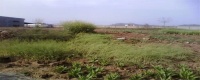 农村土地确权后可以买卖吗