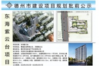 德州海悦房地产开发有限公司东海紫云台项目规划