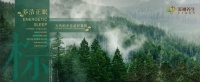 美神养生床垫:溯源天然好品质!天然棕材守护健康睡眠!