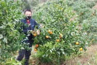那良镇:精准施策,全力打通农产品滞销“最后一公里”