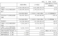 空港股份：一季度归属股东净亏损791.6万元