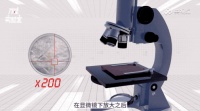 你扔掉的口罩,最后都去了哪儿?