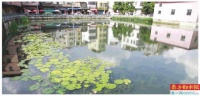 广州今年全面清除涉水违建,7月底前实现水质无黑臭