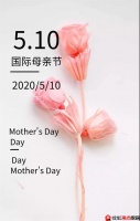 【森幕丝】感恩不等待,森幕丝墙布为爱而来