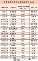 上市深企高管年薪冰火两重天:打工皇帝3.5亿,有的不到10万