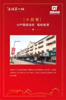 桐乡乌镇第一坊适合投资吗?桐乡乌镇第一坊专家点评!