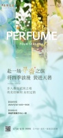南湖天著:香水品鉴️邀您共赴浪漫之旅