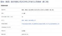 复地集团30亿元公司债券已获上交所受理