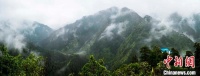 甘肃兴隆山雨后云雾缭绕 苍山翠林若隐若现