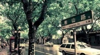 衡山路(黄河路-长江路)路段:今晨零时起封闭施工
