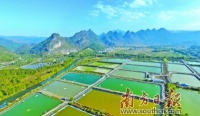 清远大项目密集开工,传递什么信号?