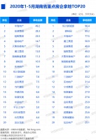 2020年1-5月湖南房地产企业拿地排行榜