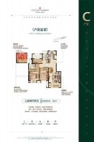 平湖高铁站中南新悦府南北通透户型图周边配套!