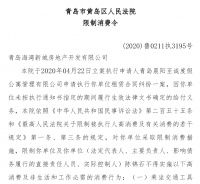 中南建设实际控制人陈锦石被法院下发限制消费令