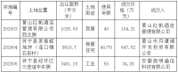休宁3宗用地成功出让,商住用地由月潭湖开发投资有限公司竞得