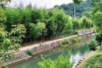 杭州新盘——天目山观月售楼处地址,天目山观月售楼处电话