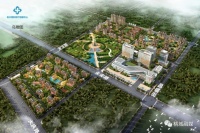 衡水市桃城区举办2020年二季度项目集中开工活动