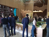 湖州长兴悦湖名城看了其内部价格明白了!项目解析!