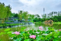 上海杨浦区【八埭头滨江园】售楼处电话,售楼处位置,详情!