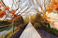 【官】【	碧桂园枫景尚院	】售楼处最新图文解析