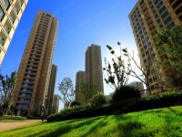 平湖市区盛世半岛强势来袭 图文解析!最新价格!