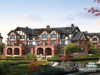 临安银城青山湖畔临枫园火爆来袭!!简直火爆到让人难以置信!