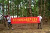 广西靖西将加快建设乡村产业园区,推动乡村一二三产业融合发展