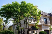 首页&mdash;&mdash;上海虹口恒大江湾华庭售楼处&mdash;恒大江湾华庭售楼处电话!