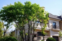 上海宝华帝华园售楼处电话、地址、楼盘详情【官网】