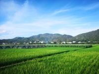 全长约114公里!云南将新建一条高速公路,途经这些地方&hellip;