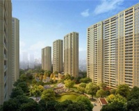 【官】	碧桂园凤鸣公馆	升值空间怎么样,性价比高不高