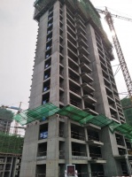 七月家书 | 家音敬奉,美好可期