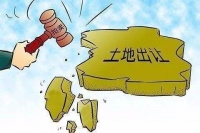 升温!一线城市土拍价格2个月涨220%,房价会涨吗?