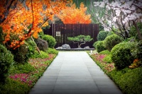 如何打破空间约束,让景观优雅起舞