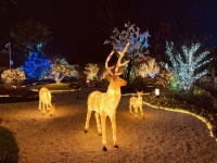 【官】	碧桂园蔚蓝	】售楼处电话-地址-最新图文解析