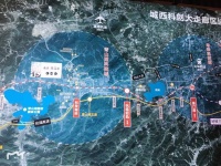 天阳蓝光蔚蓝	如果要观望,我建议你看完这个房子后再观望