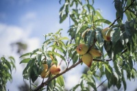 大家都爱去抚仙湖的原因 今天终于知道了