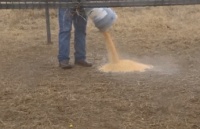 跌惨了! 发生了一件大事 开始秋后算账了!