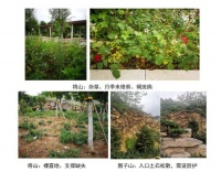 济南抽查15处山体公园,发现了这些问题&hellip;7月底整改完