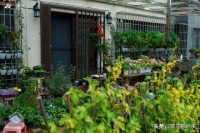 想买带露台房子的看过来,换过三套房的人告诉你如何正确选房